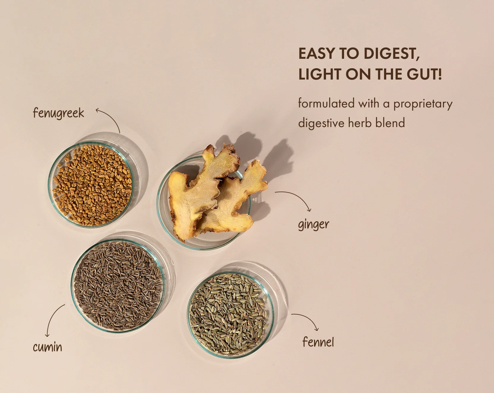 No-Nonsense Plant Protein - Cocoa Beet - Image 5