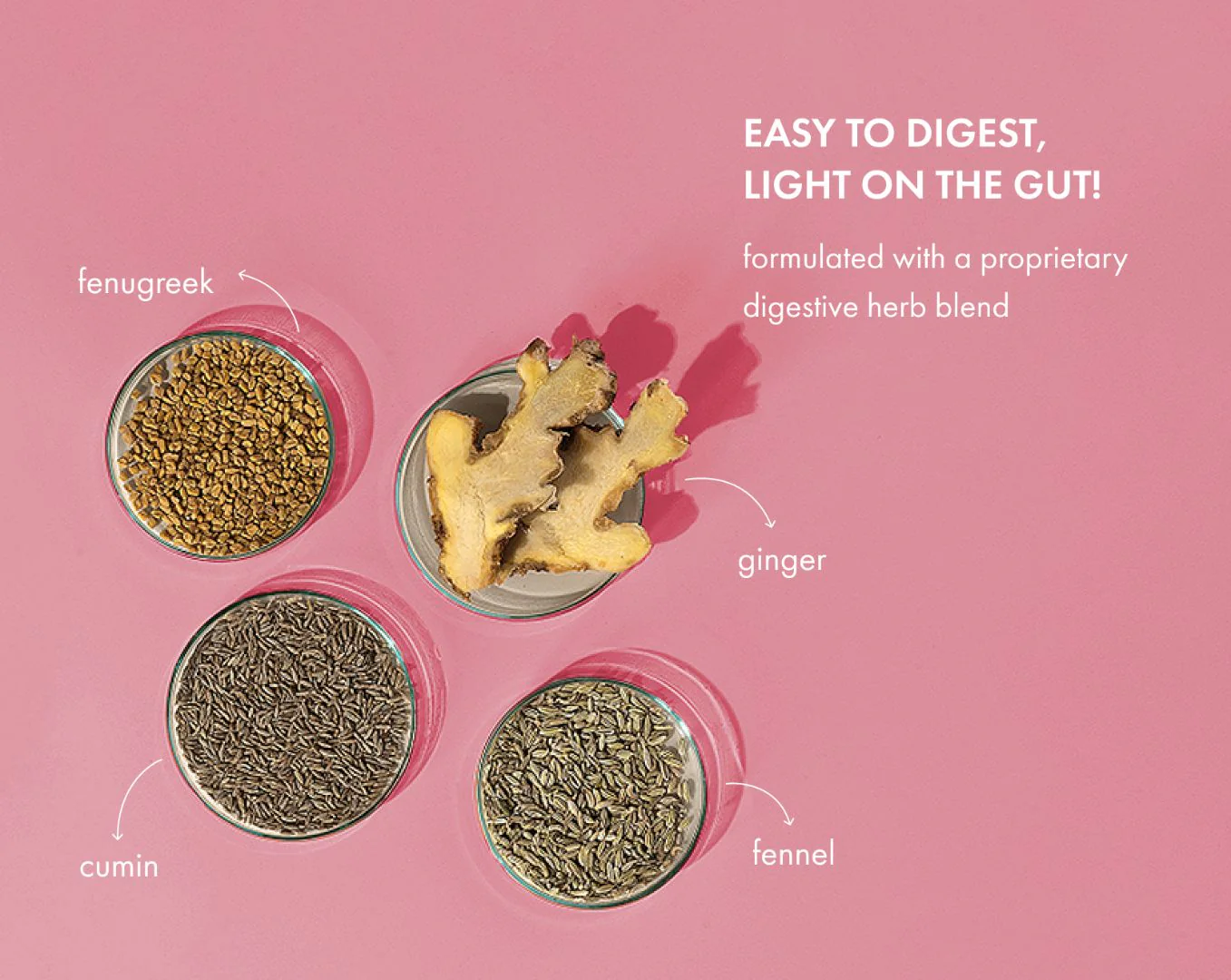 No-Nonsense Plant Protein - Mahabaleshwar Strawberry - Image 6