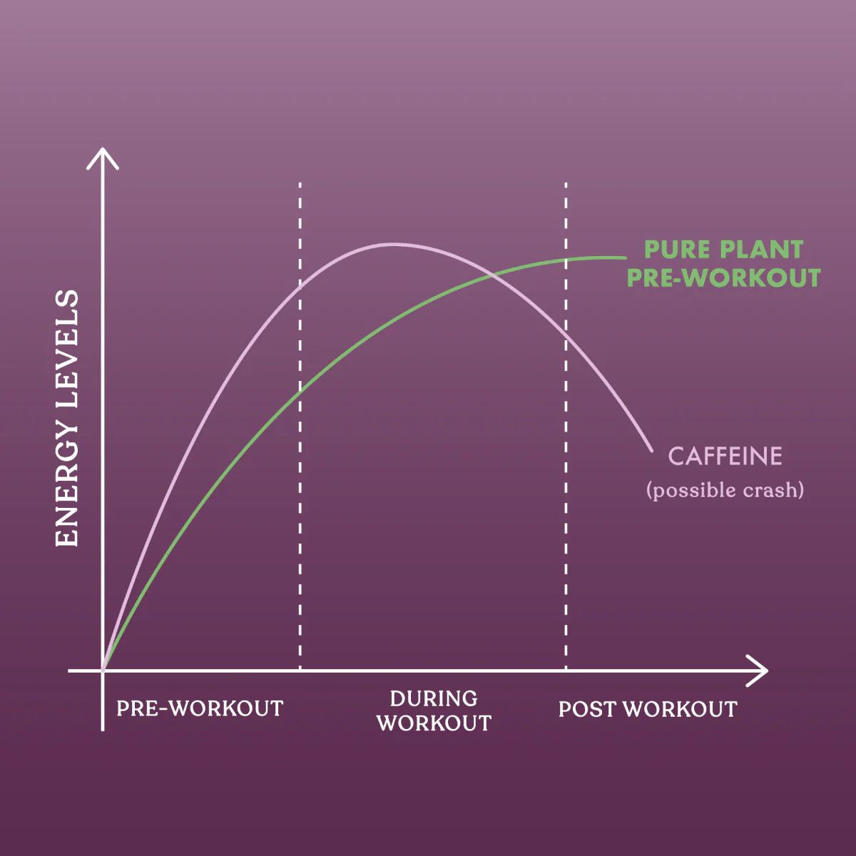 Pure Plant Pre-Workout - Image 5